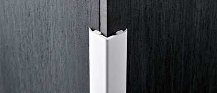 Proedge